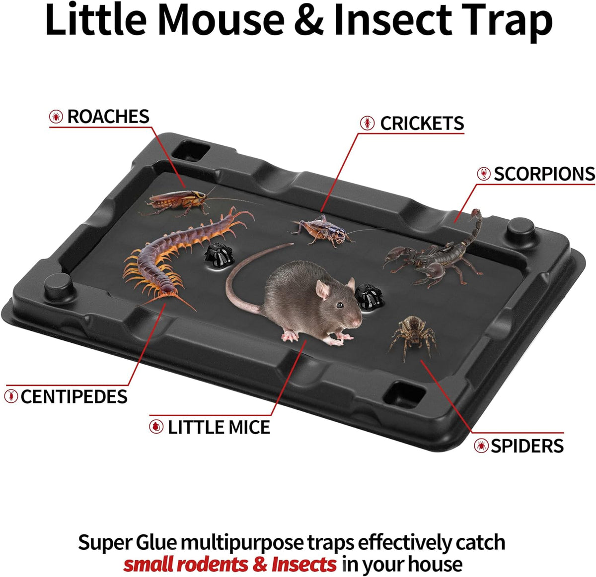 LULUCATCH Mouse & Insect Traps 12 Pack, Heavier Sticky Traps with Non-Toxic Glue for Small Mice & Insects. Sticky Mouse Traps Indoor, Easy to Set, Pet Safe Pest Control