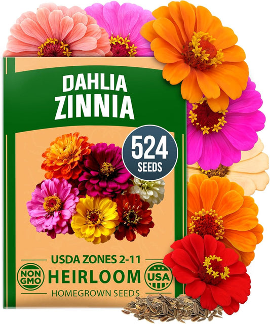 HOME GROWN Zinnia Dahlia Seeds Pack for 2026 Non GMO 524 Flower Seeds | Vibrant Zinnia Elegans for Pollinator Gardens, Borders & Containers | Easy-to-Grow Outdoor Blooms