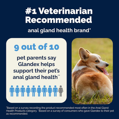 Vetnique Glandex Anal Gland Soft Chew Treats with Pumpkin for Dogs Digestive Enzymes, Probiotics Fiber Supplement for Dogs Boot The Scoot (Peanut Butter Chews, 60 Count)
